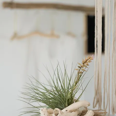 Vendégház Saso' - Casa Di Charme E Relax 3*
